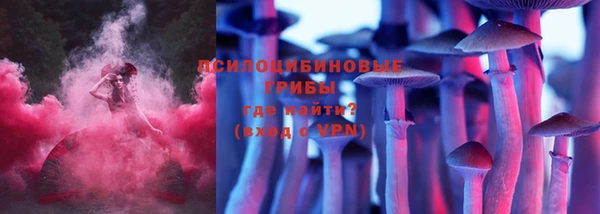 прущий лед Костерёво
