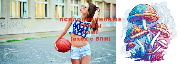 бошки Кодинск