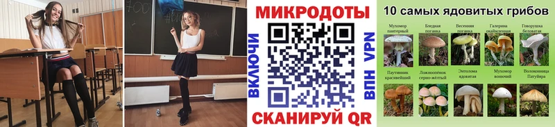 Галлюциногенные грибы прущие грибы  Медвежьегорск 